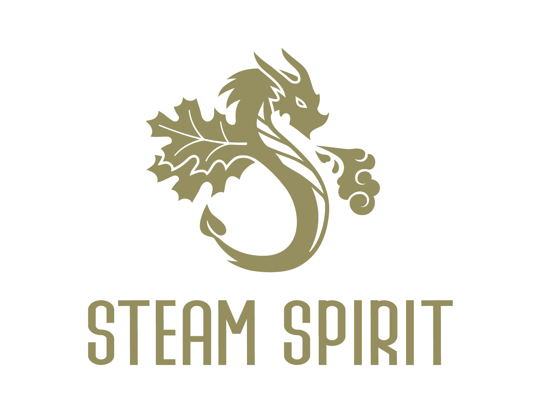 Steam Spirit